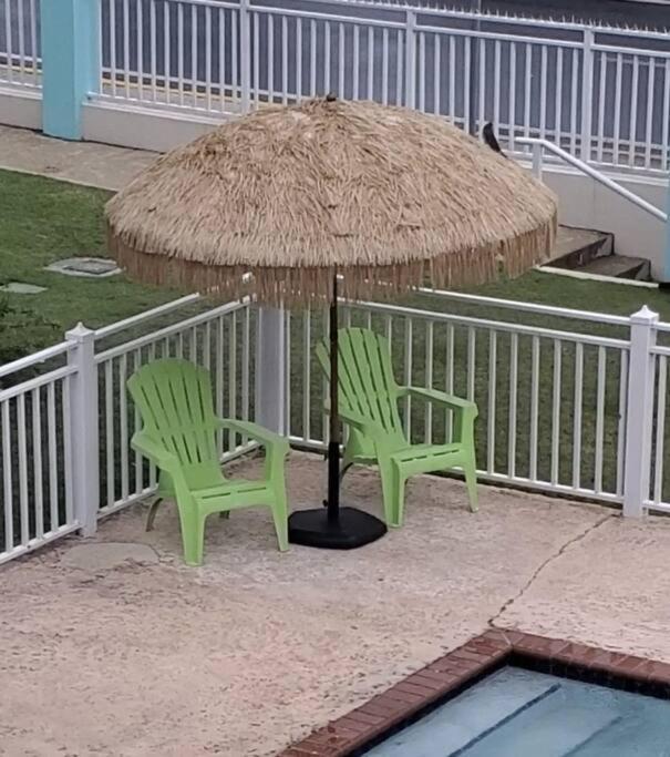 Summer All Year! Oceanfront With Pool A/C 阿瓜迪亚 外观 照片